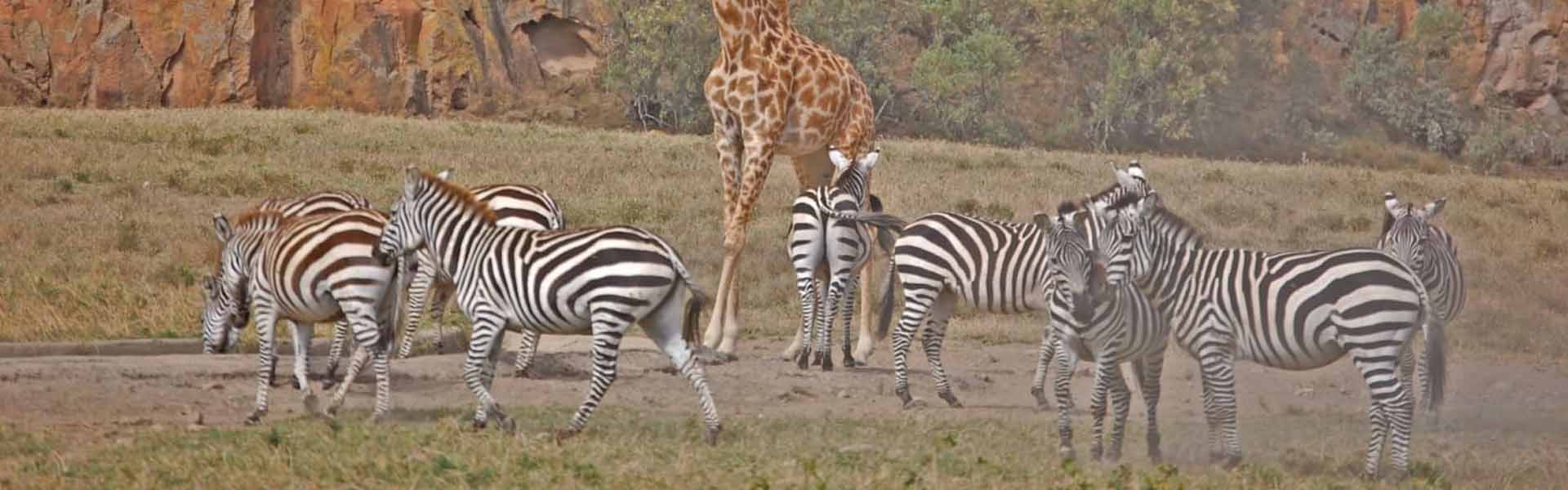 Hell's Gate National Park