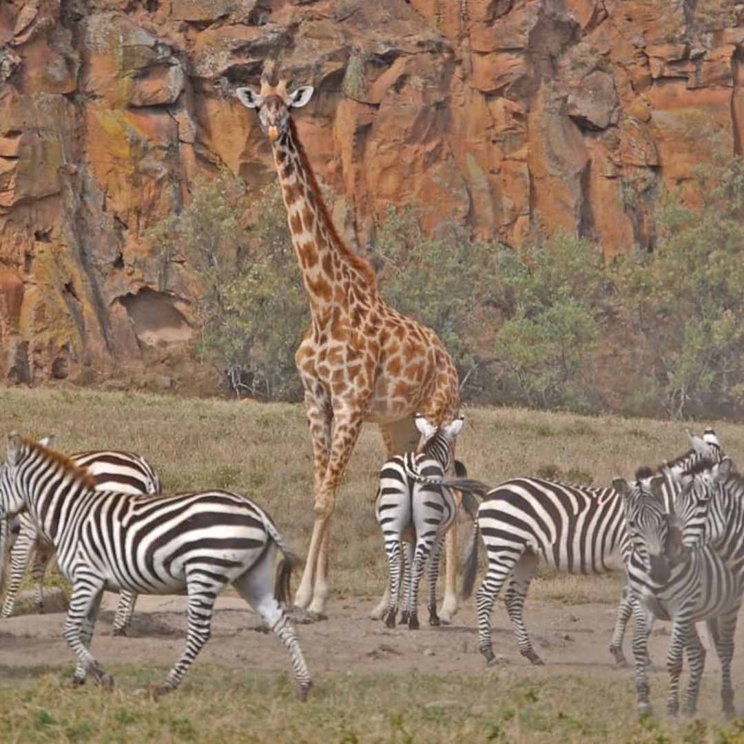 Hell's Gate National Park