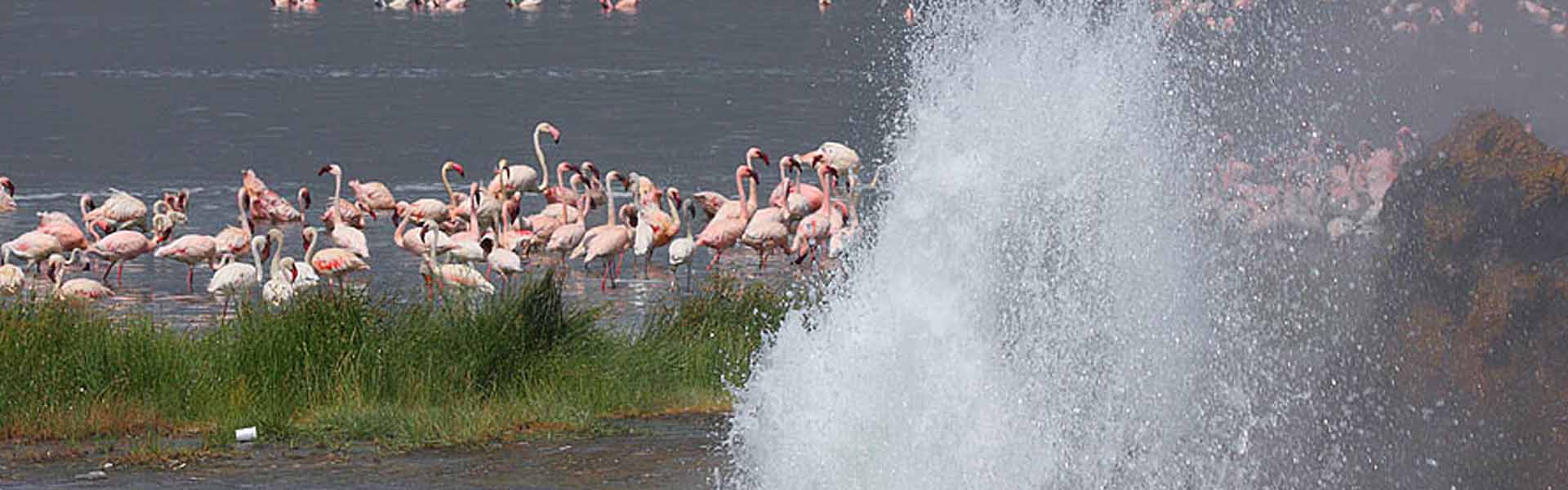 Lake Bogoria