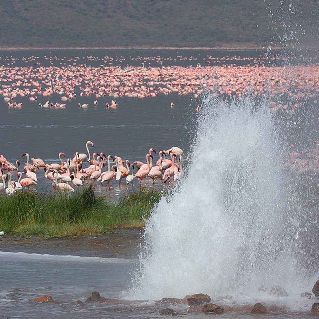 Lake Bogoria