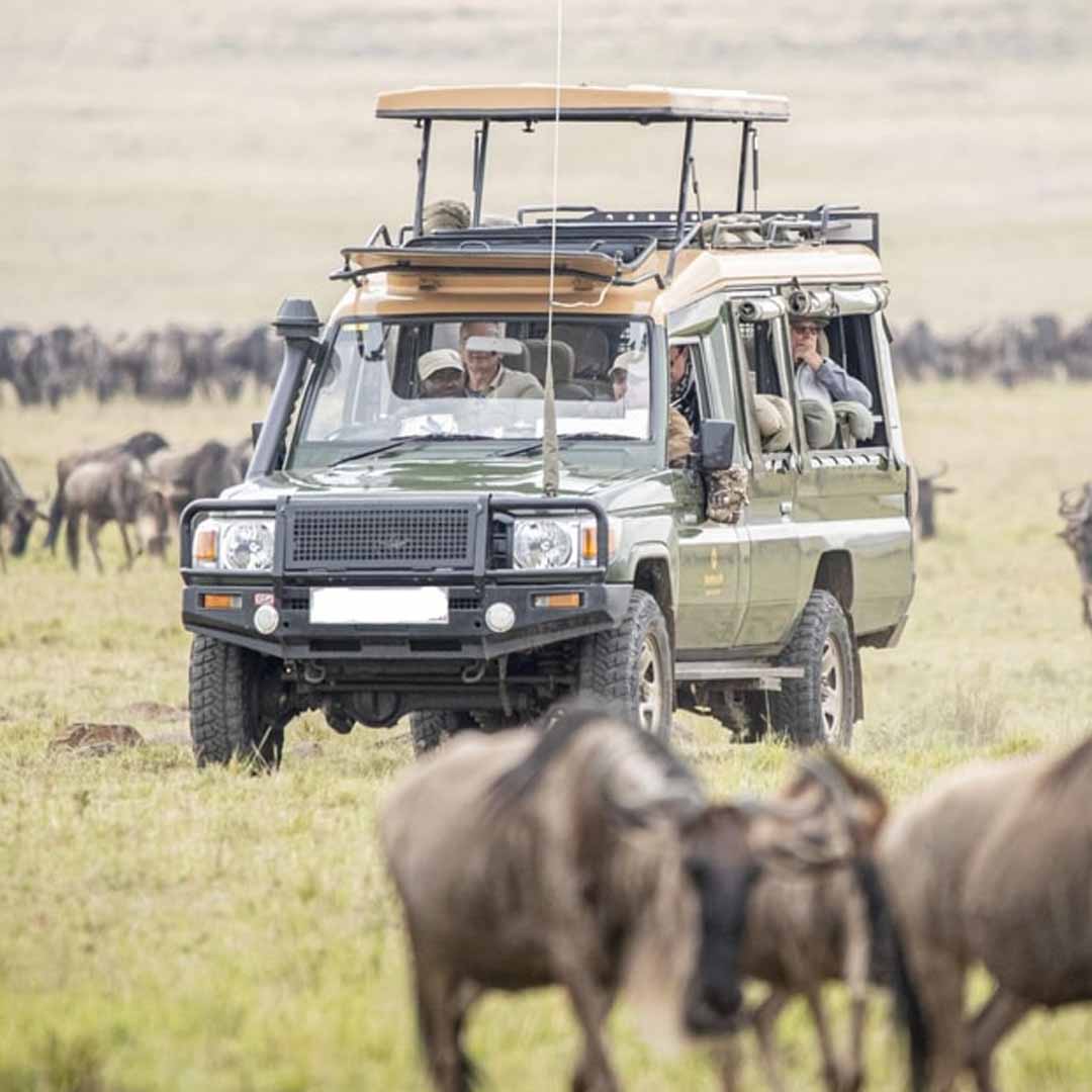 Maasai Mara National Reserve