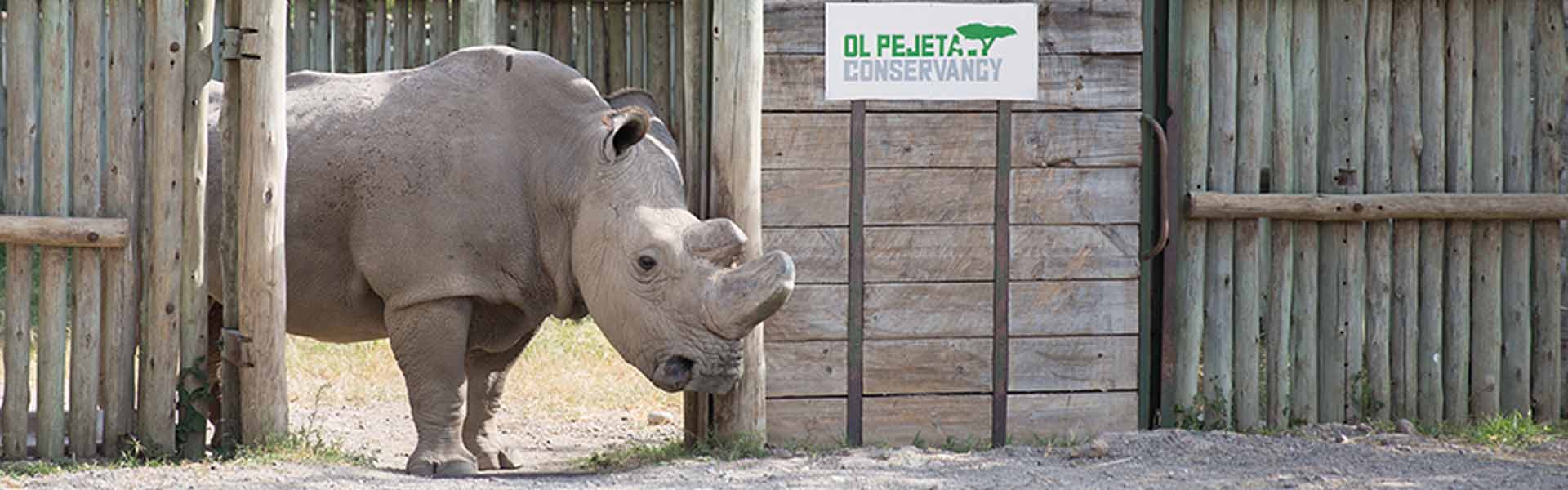 Ol Pejeta Conservancy