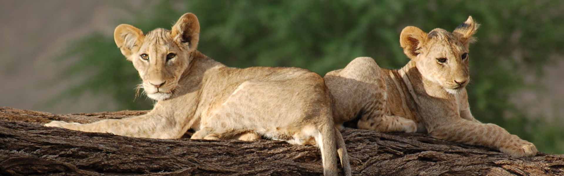 Samburu National Park