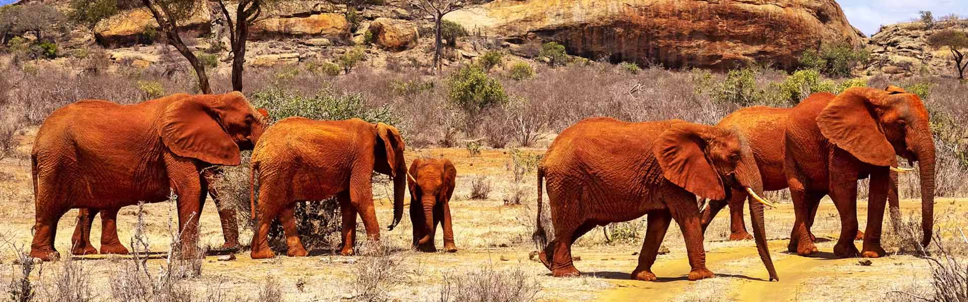 Tsavo East National Park