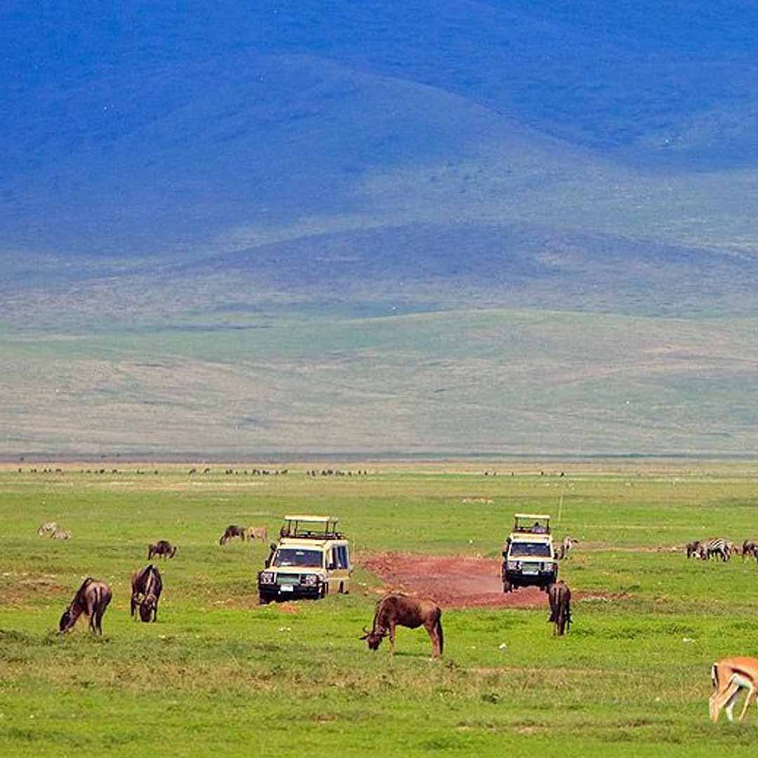 Ngorongoro Conservation Area