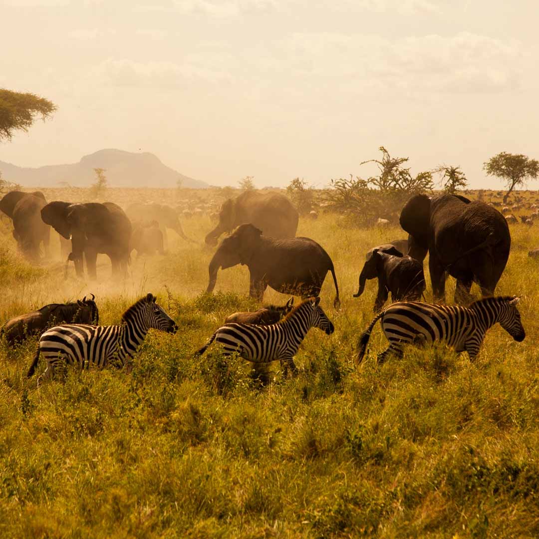 Serengeti National Park