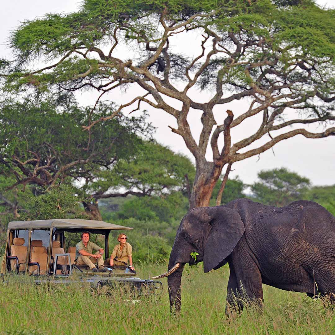 Tarangire National Park