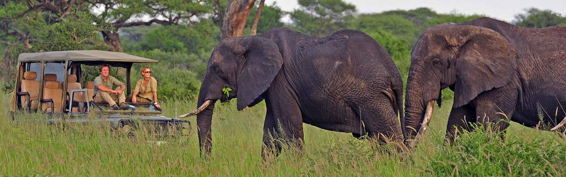 Tarangire National Park