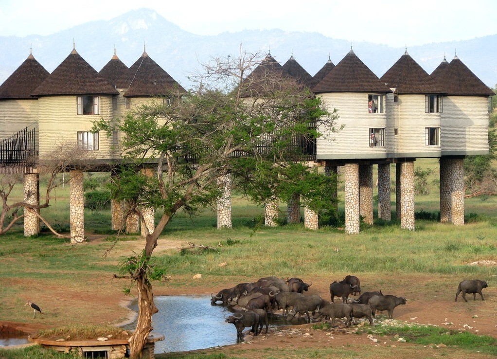 9 Days Amboseli, Tsavo West, Tsavo East & Diani Beach